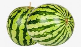 热门大瓜每日必吃大瓜合集,揭秘娱乐圈最新动态，一网打尽娱乐圈风云